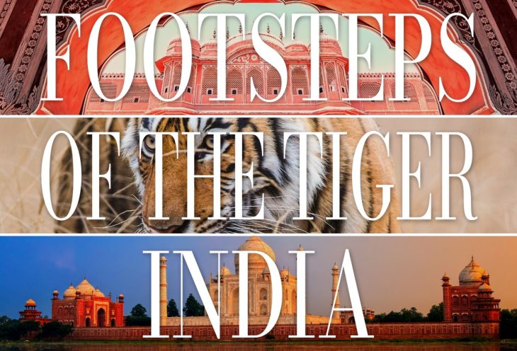 In the Footsteps of the Tiger