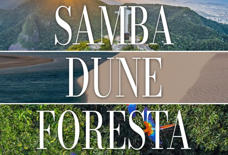 Samba, Dune, Foresta… by Brasile